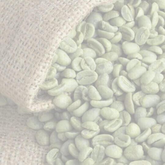 E01(Raw) 耶加雪菲G1日曬 咖啡生豆 - Quality Life Coffee